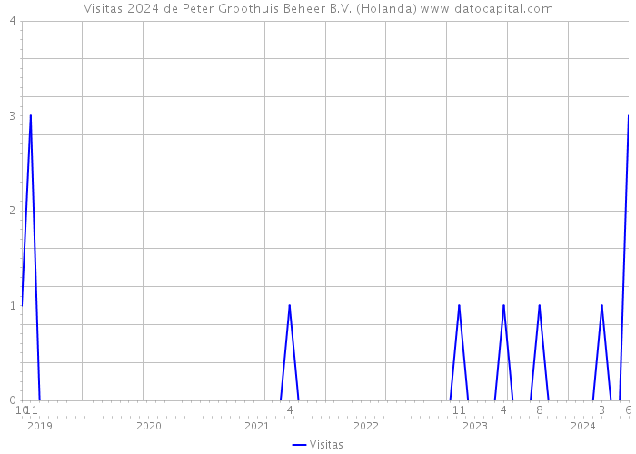 Visitas 2024 de Peter Groothuis Beheer B.V. (Holanda) 