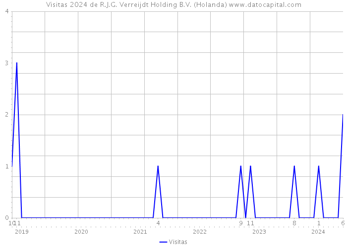 Visitas 2024 de R.J.G. Verreijdt Holding B.V. (Holanda) 