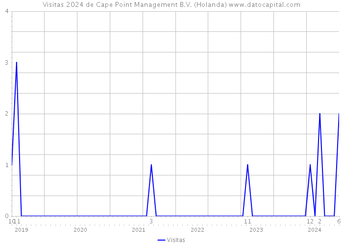 Visitas 2024 de Cape Point Management B.V. (Holanda) 