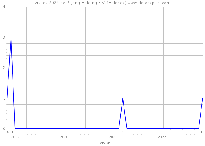 Visitas 2024 de P. Jong Holding B.V. (Holanda) 