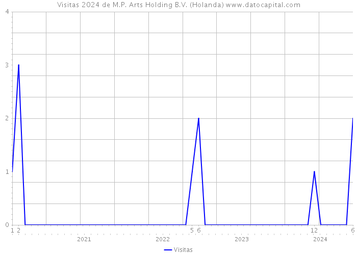 Visitas 2024 de M.P. Arts Holding B.V. (Holanda) 