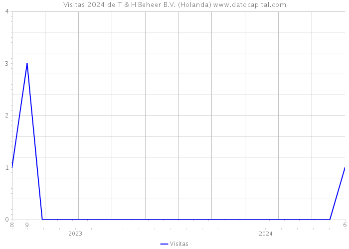 Visitas 2024 de T & H Beheer B.V. (Holanda) 