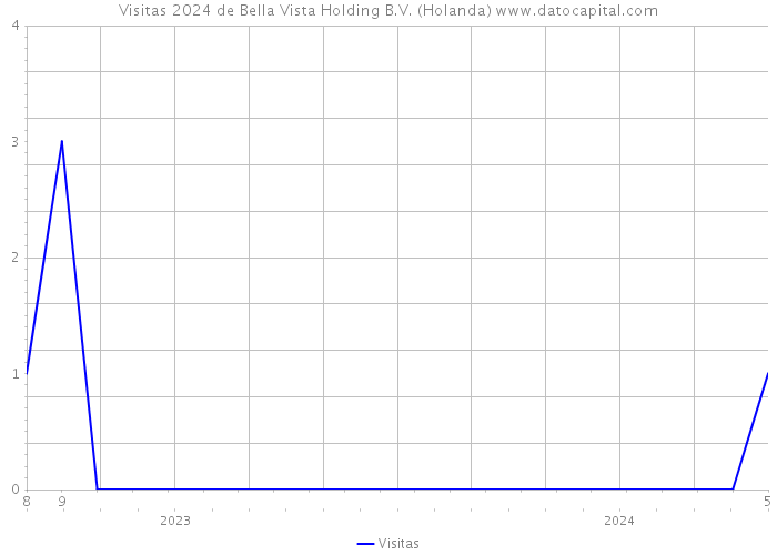Visitas 2024 de Bella Vista Holding B.V. (Holanda) 