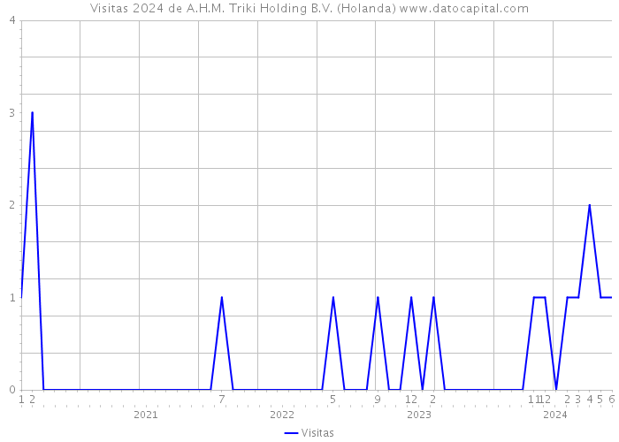 Visitas 2024 de A.H.M. Triki Holding B.V. (Holanda) 