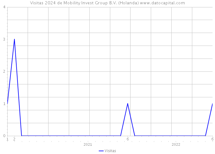 Visitas 2024 de Mobility Invest Group B.V. (Holanda) 