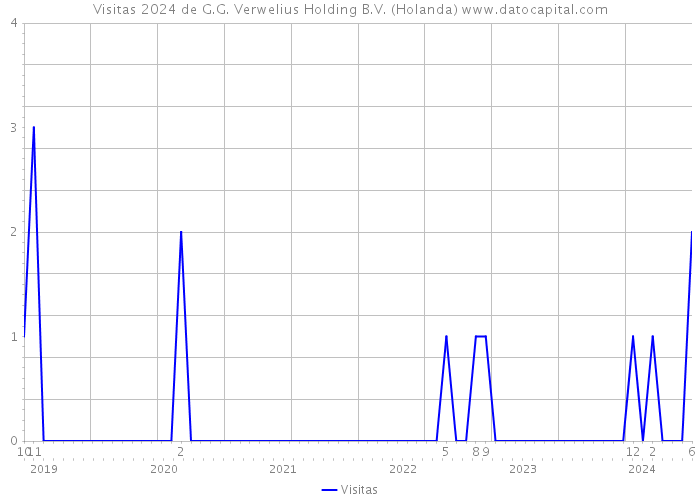 Visitas 2024 de G.G. Verwelius Holding B.V. (Holanda) 