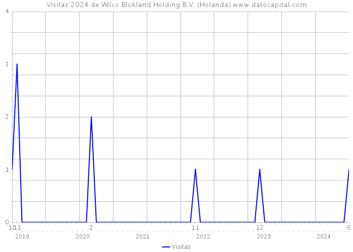 Visitas 2024 de Wilco Blokland Holding B.V. (Holanda) 