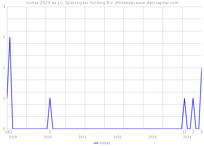 Visitas 2024 de J.C. Speksnijder Holding B.V. (Holanda) 