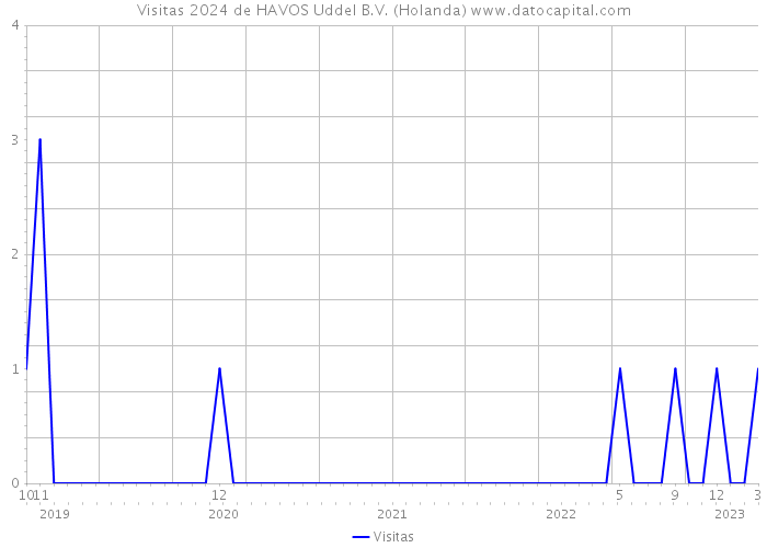 Visitas 2024 de HAVOS Uddel B.V. (Holanda) 