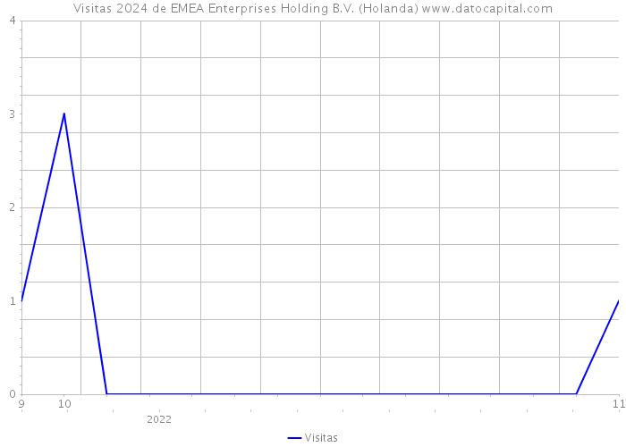 Visitas 2024 de EMEA Enterprises Holding B.V. (Holanda) 