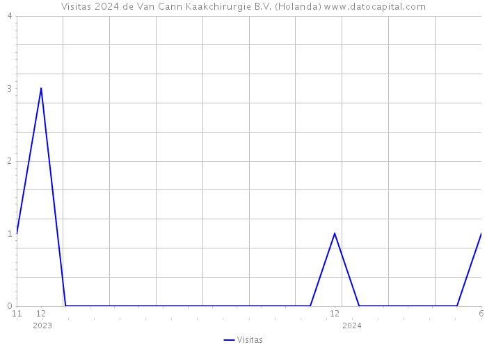 Visitas 2024 de Van Cann Kaakchirurgie B.V. (Holanda) 