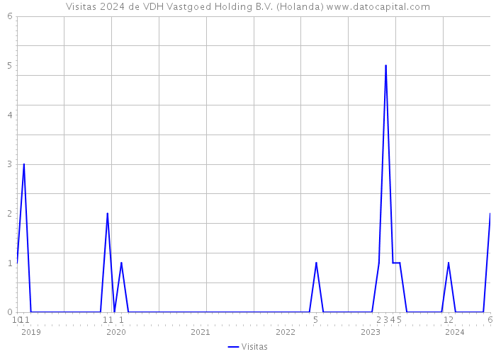 Visitas 2024 de VDH Vastgoed Holding B.V. (Holanda) 