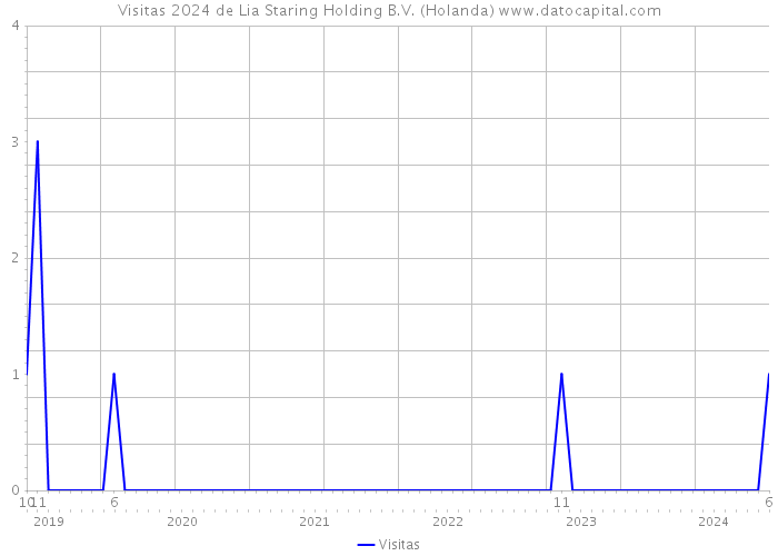 Visitas 2024 de Lia Staring Holding B.V. (Holanda) 