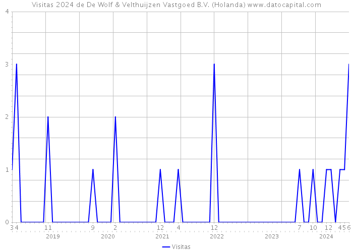 Visitas 2024 de De Wolf & Velthuijzen Vastgoed B.V. (Holanda) 