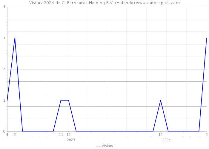 Visitas 2024 de C. Bernaards Holding B.V. (Holanda) 