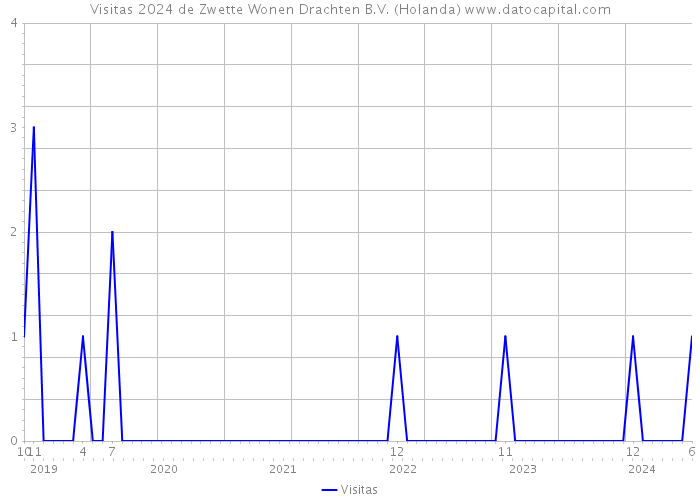 Visitas 2024 de Zwette Wonen Drachten B.V. (Holanda) 