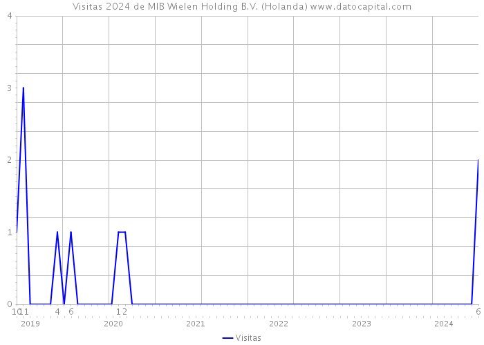 Visitas 2024 de MIB Wielen Holding B.V. (Holanda) 
