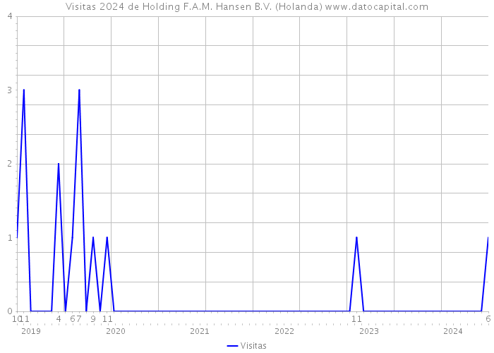 Visitas 2024 de Holding F.A.M. Hansen B.V. (Holanda) 