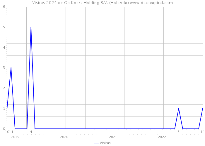 Visitas 2024 de Op Koers Holding B.V. (Holanda) 