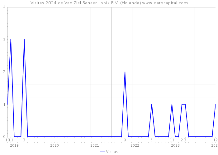 Visitas 2024 de Van Ziel Beheer Lopik B.V. (Holanda) 