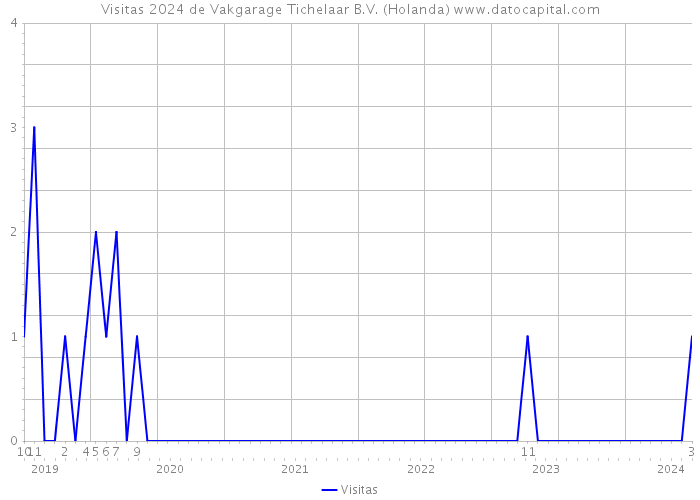 Visitas 2024 de Vakgarage Tichelaar B.V. (Holanda) 