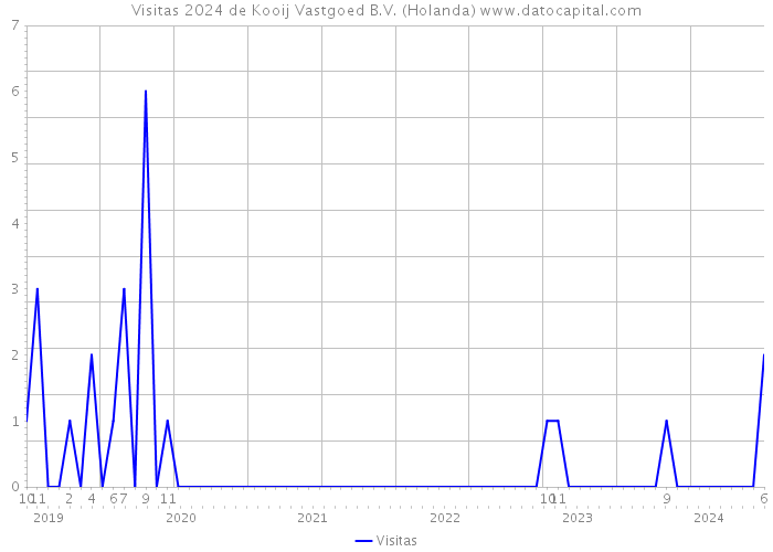 Visitas 2024 de Kooij Vastgoed B.V. (Holanda) 