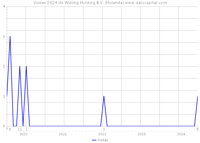 Visitas 2024 de Wieling Holding B.V. (Holanda) 