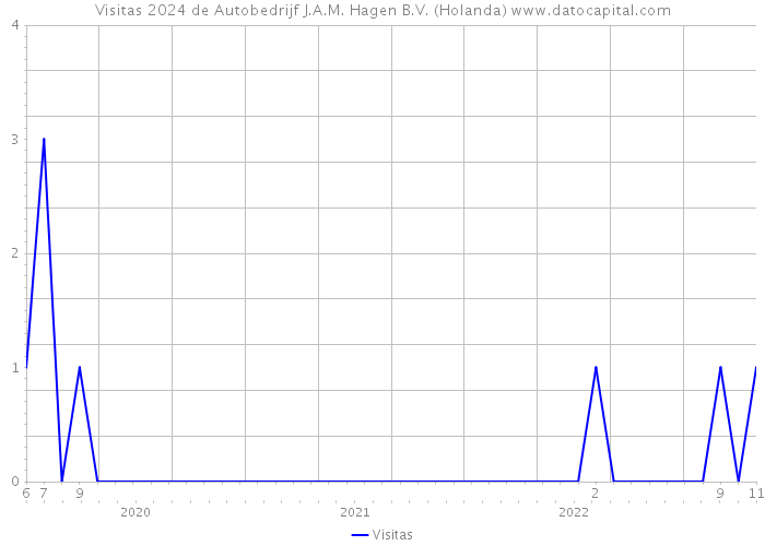 Visitas 2024 de Autobedrijf J.A.M. Hagen B.V. (Holanda) 