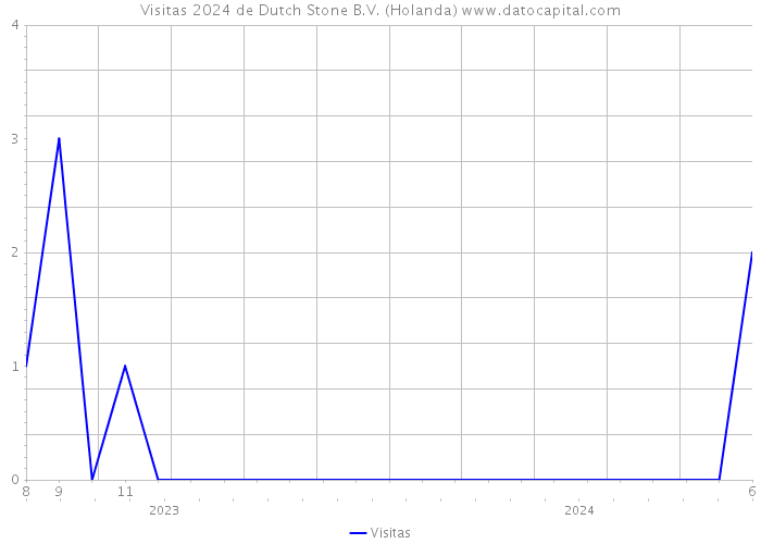 Visitas 2024 de Dutch Stone B.V. (Holanda) 