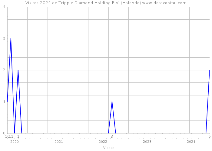 Visitas 2024 de Tripple Diamond Holding B.V. (Holanda) 