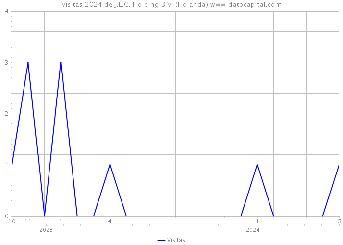 Visitas 2024 de J.L.C. Holding B.V. (Holanda) 