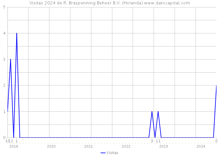 Visitas 2024 de R. Braspenning Beheer B.V. (Holanda) 