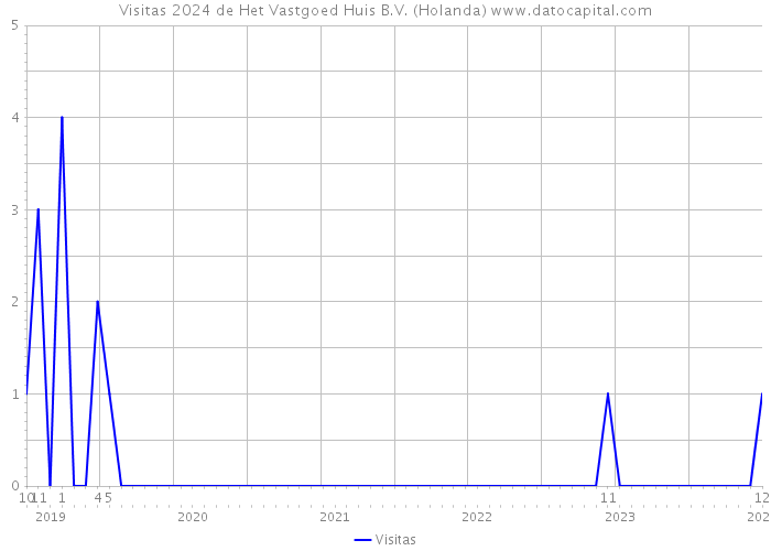 Visitas 2024 de Het Vastgoed Huis B.V. (Holanda) 