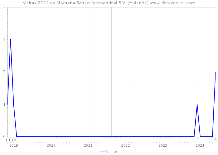 Visitas 2024 de Montana Beheer Veenendaal B.V. (Holanda) 
