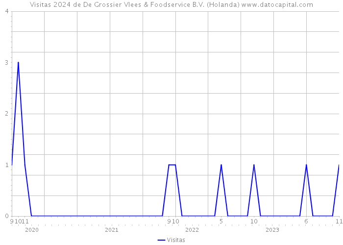 Visitas 2024 de De Grossier Vlees & Foodservice B.V. (Holanda) 