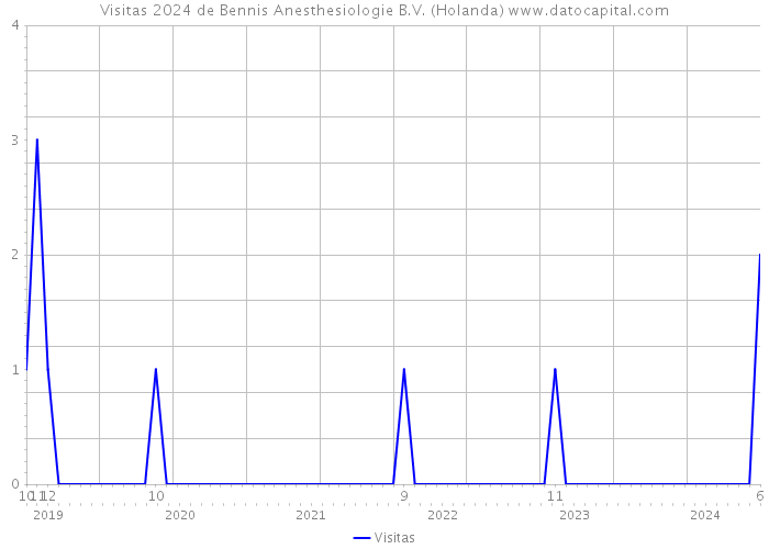 Visitas 2024 de Bennis Anesthesiologie B.V. (Holanda) 