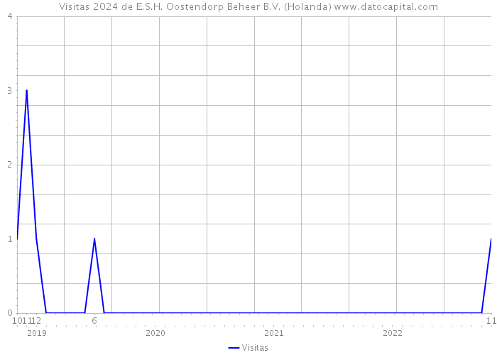 Visitas 2024 de E.S.H. Oostendorp Beheer B.V. (Holanda) 