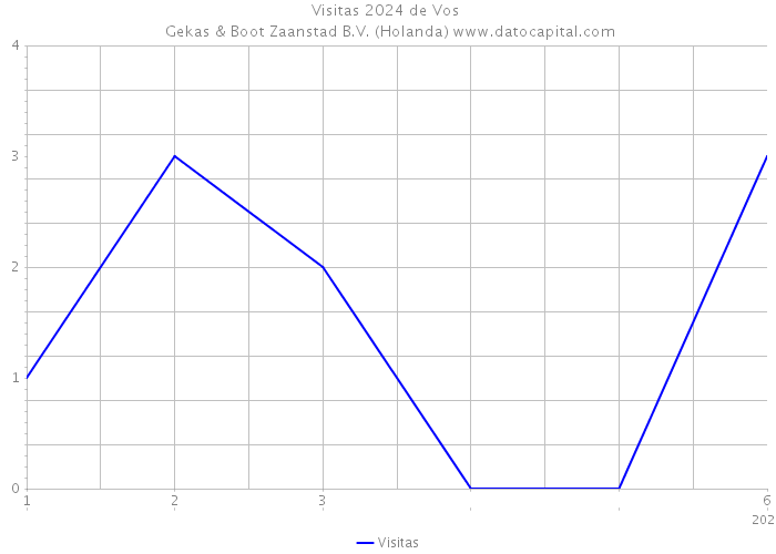 Visitas 2024 de Vos | Gekas & Boot Zaanstad B.V. (Holanda) 