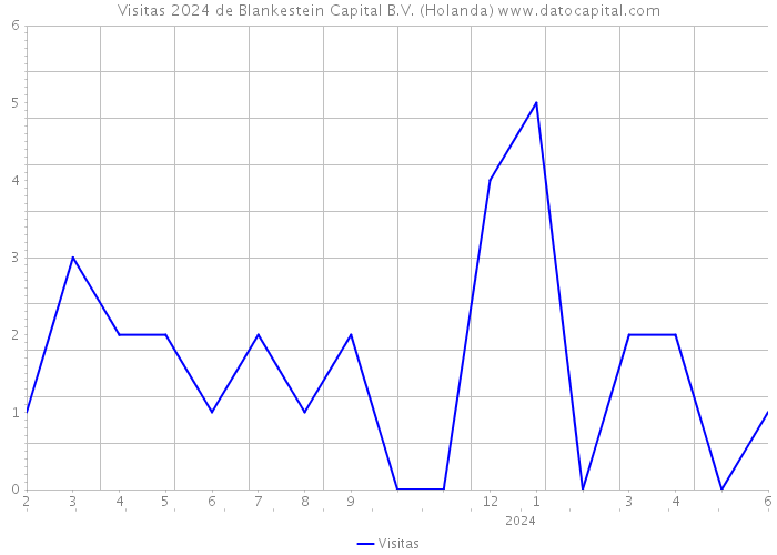 Visitas 2024 de Blankestein Capital B.V. (Holanda) 