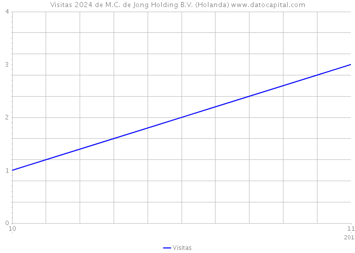 Visitas 2024 de M.C. de Jong Holding B.V. (Holanda) 
