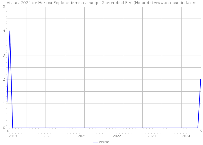 Visitas 2024 de Horeca Exploitatiemaatschappij Soetendaal B.V. (Holanda) 