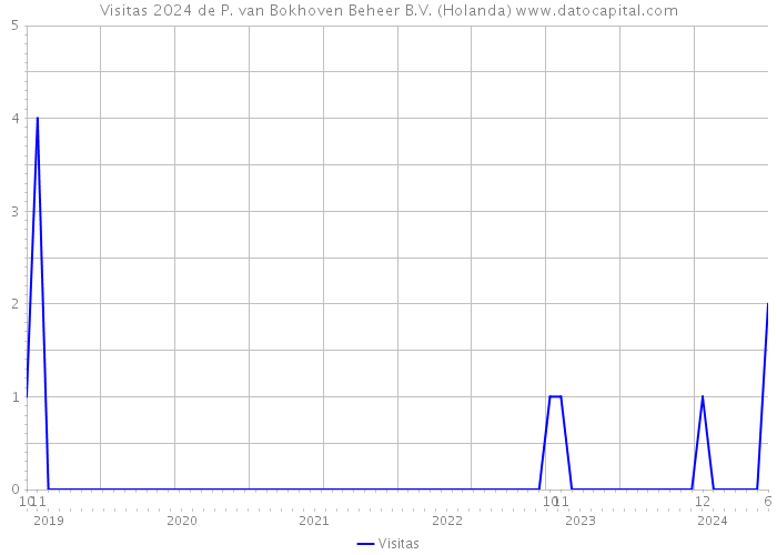 Visitas 2024 de P. van Bokhoven Beheer B.V. (Holanda) 