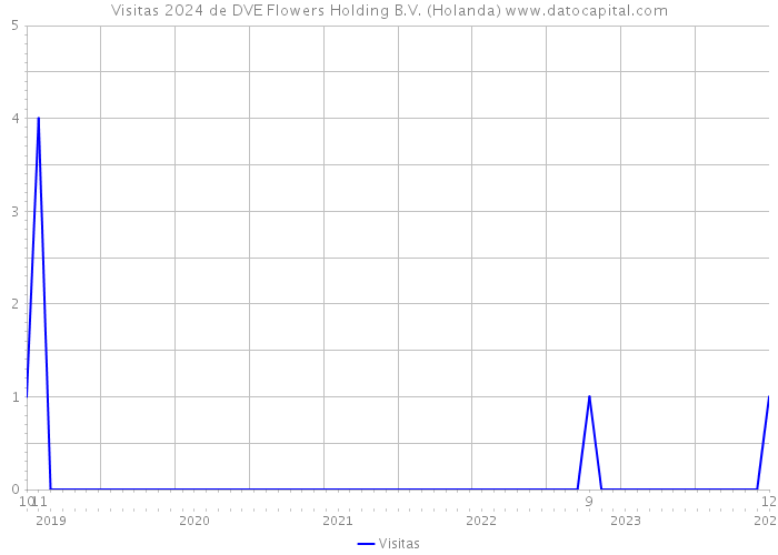 Visitas 2024 de DVE Flowers Holding B.V. (Holanda) 