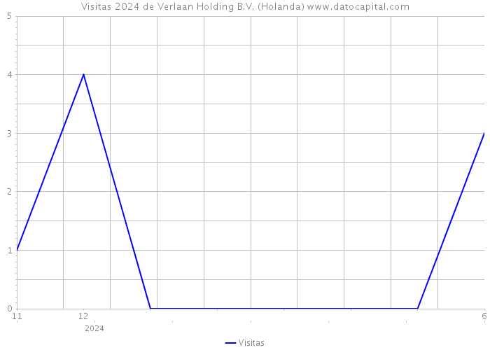 Visitas 2024 de Verlaan Holding B.V. (Holanda) 