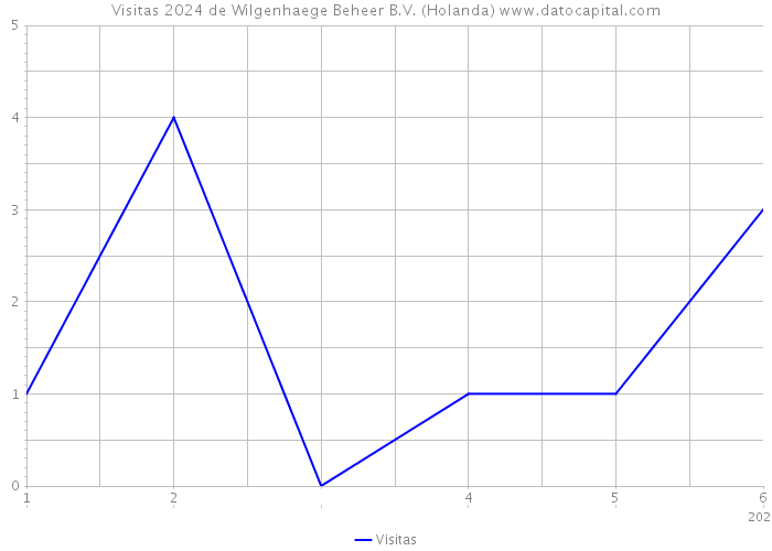 Visitas 2024 de Wilgenhaege Beheer B.V. (Holanda) 