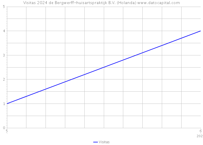 Visitas 2024 de Bergwerff-huisartspraktijk B.V. (Holanda) 