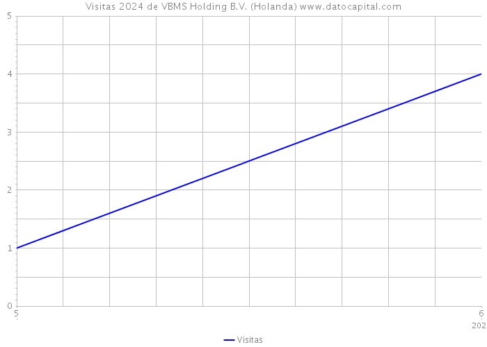 Visitas 2024 de VBMS Holding B.V. (Holanda) 