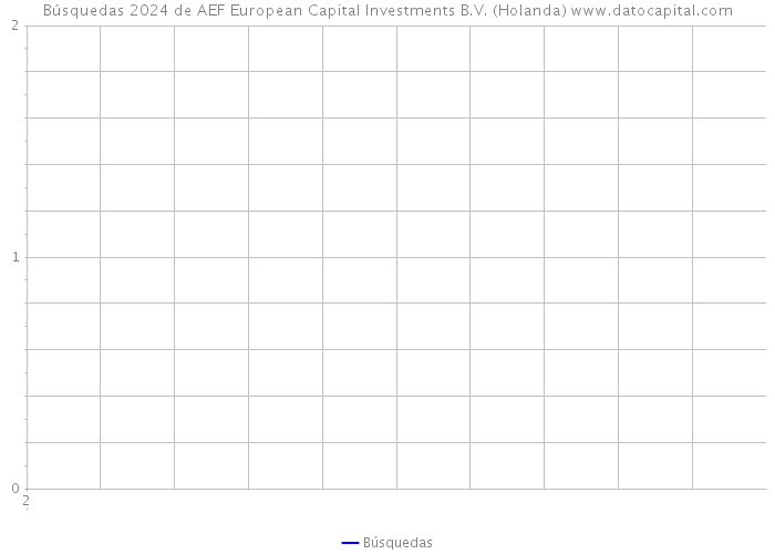 Búsquedas 2024 de AEF European Capital Investments B.V. (Holanda) 