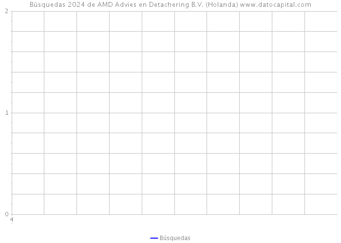 Búsquedas 2024 de AMD Advies en Detachering B.V. (Holanda) 