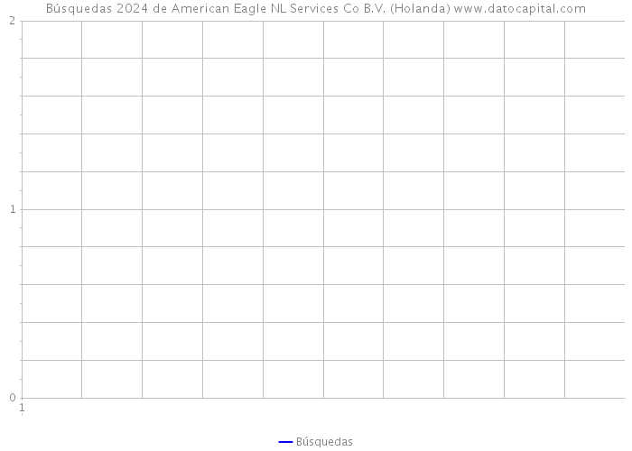 Búsquedas 2024 de American Eagle NL Services Co B.V. (Holanda) 